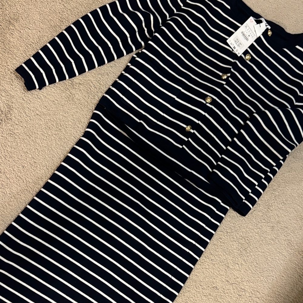 Zara Navy and White Striped Pencil Skirt - Picture 4 of 4